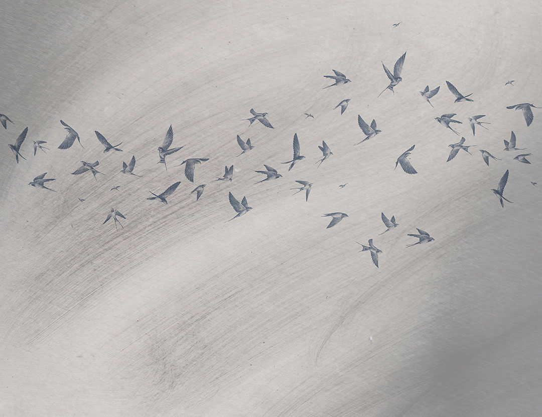 Delicate birds on a grey textured background wall mural
