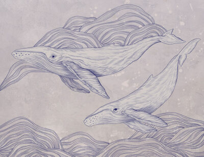 Cute illustrated whales wall mural on the grey background