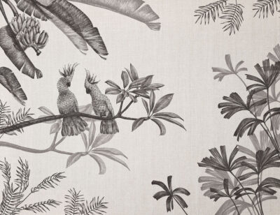 Sophisticated illustrated black tropical plants and parrots wall mural