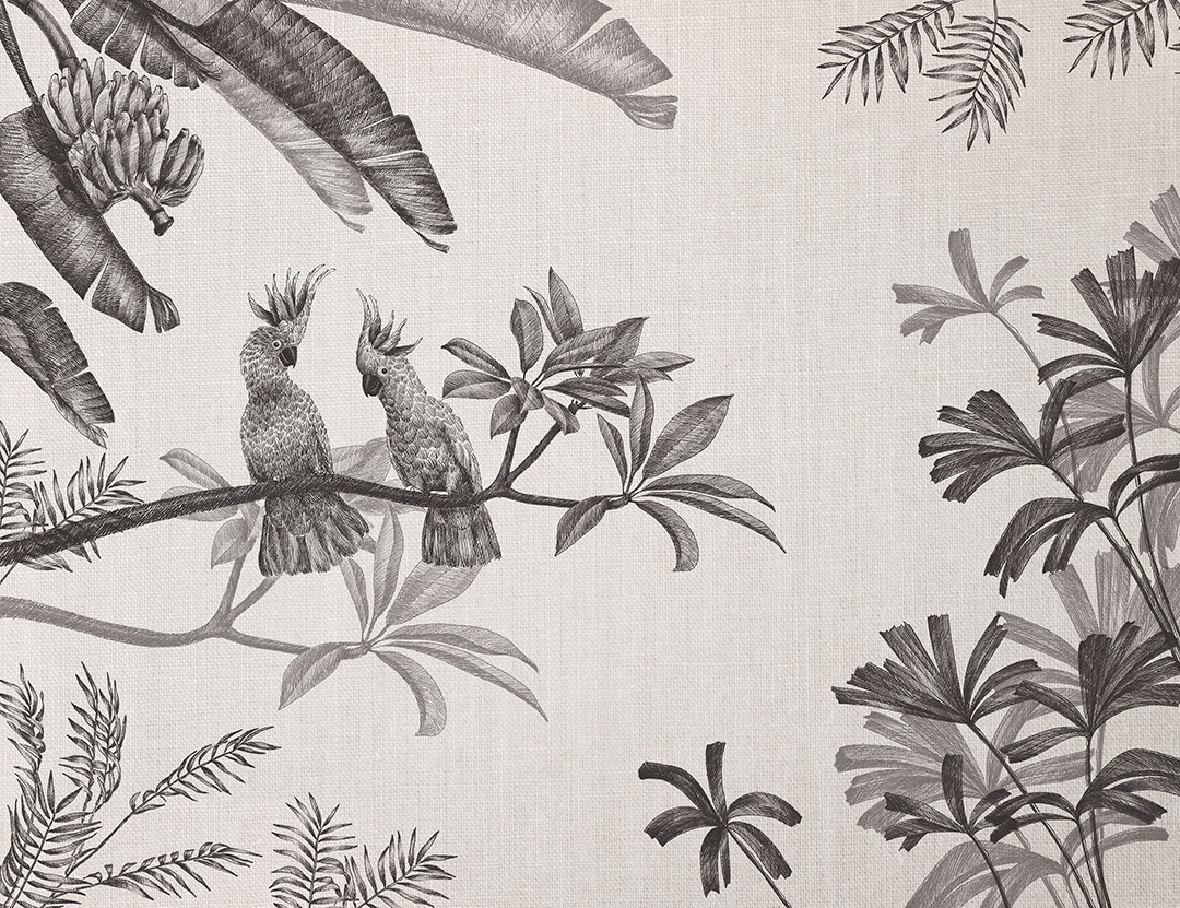 Sophisticated illustrated black tropical plants and parrots wall mural