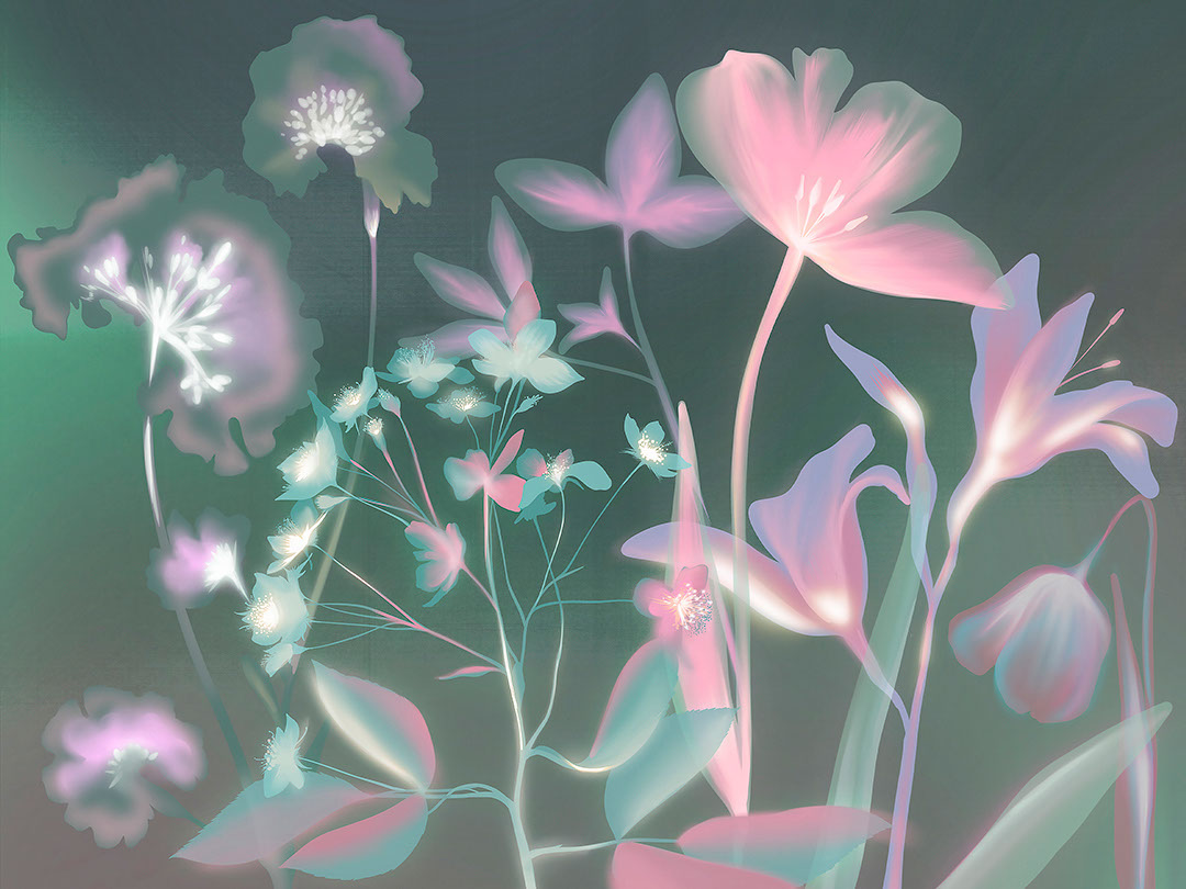 Colourful flower imprints with green X-ray effect wall mural