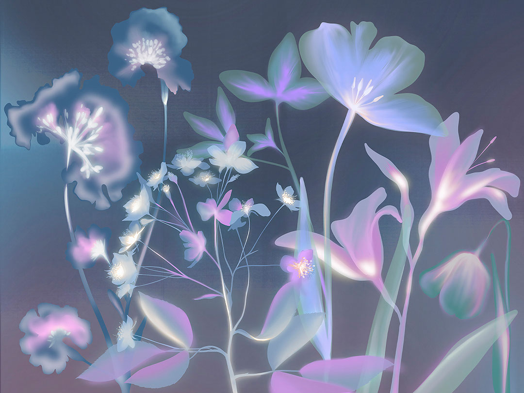 Colourful flower imprints with blue X-ray effect wall mural