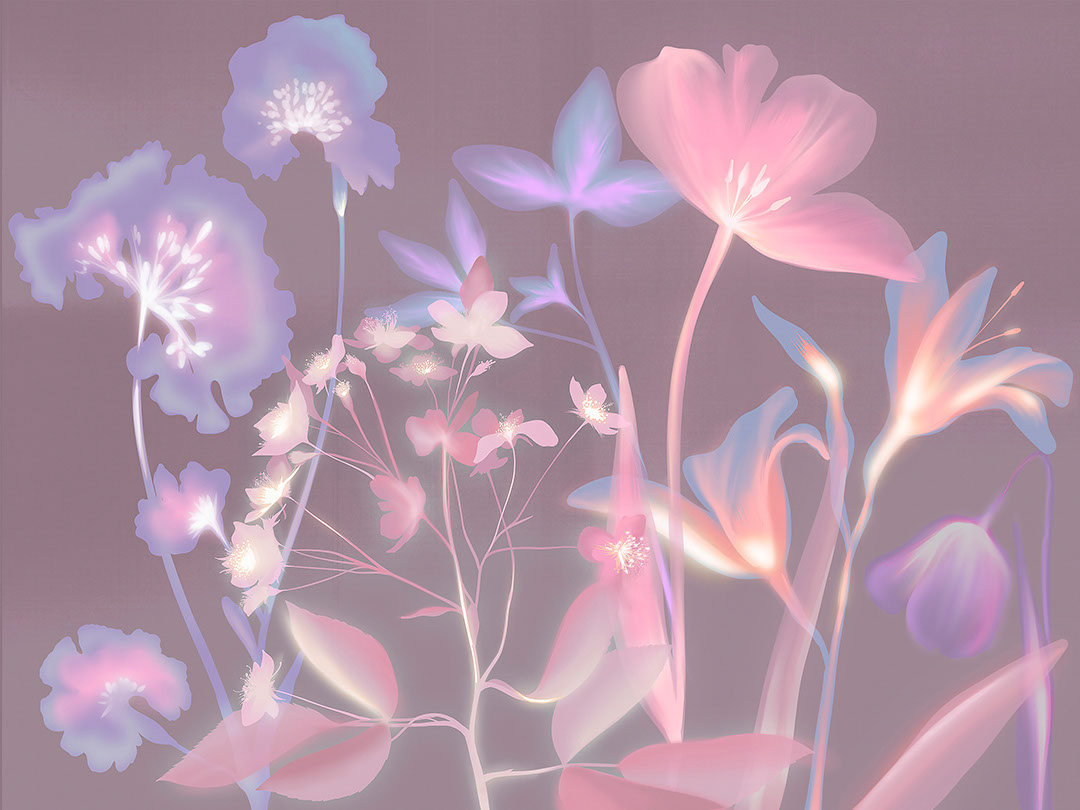 Colourful flower imprints with pink X-ray effect wall mural