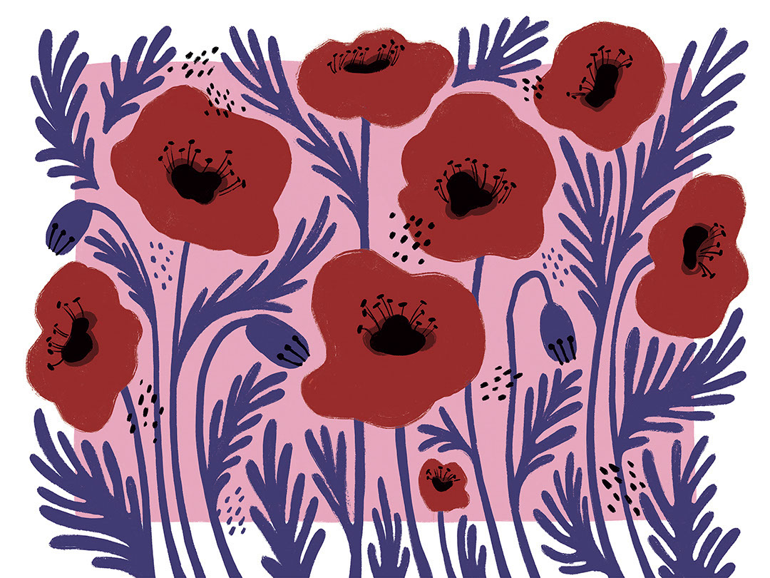 Red illustrated flowers with an asymmetrical pink background wall mural