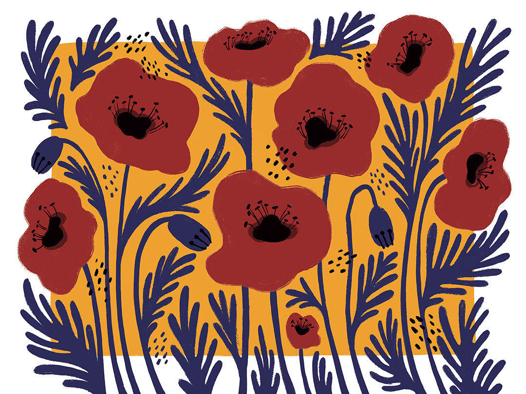 Red illustrated flowers with an asymmetrical yellow background wall mural