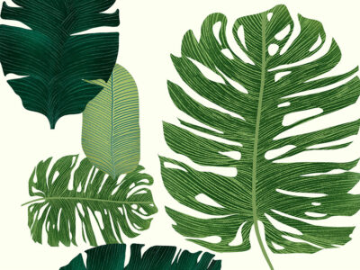 Oversized illustrated tropical leaves wall mural