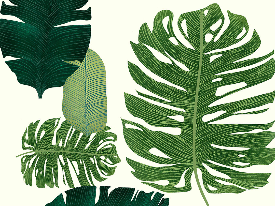 Oversized illustrated tropical leaves wall mural