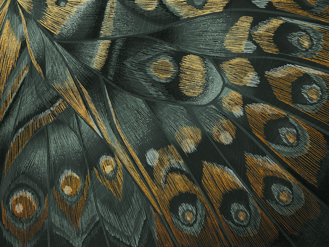 Golden butterfly wing imprint wall mural