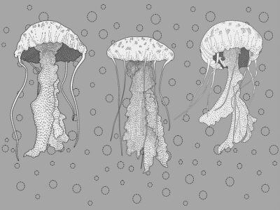 Line work jellyfish wall mural with water bubbles on the grey background
