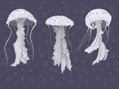 Line work jellyfish wall mural with water bubbles on the blue background