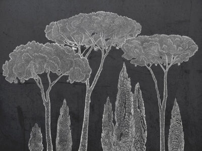 Italian cypress and stone pine trees on the dark background wall mural