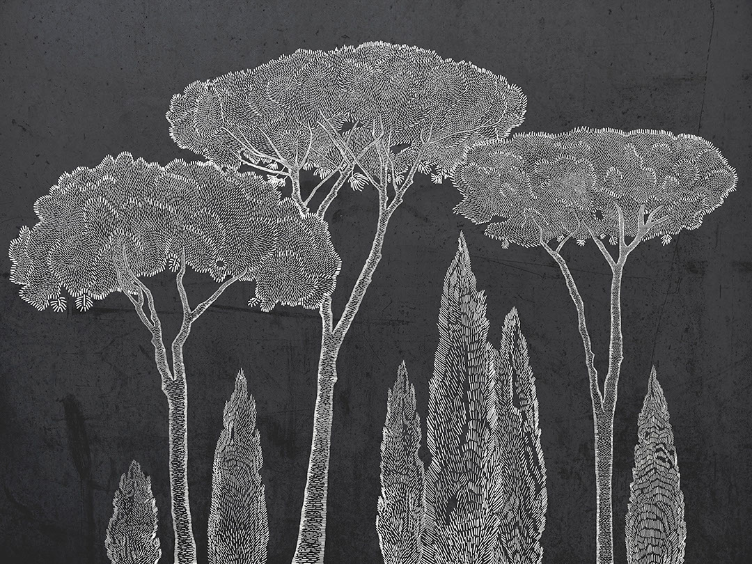 Italian cypress and stone pine trees on the dark background wall mural