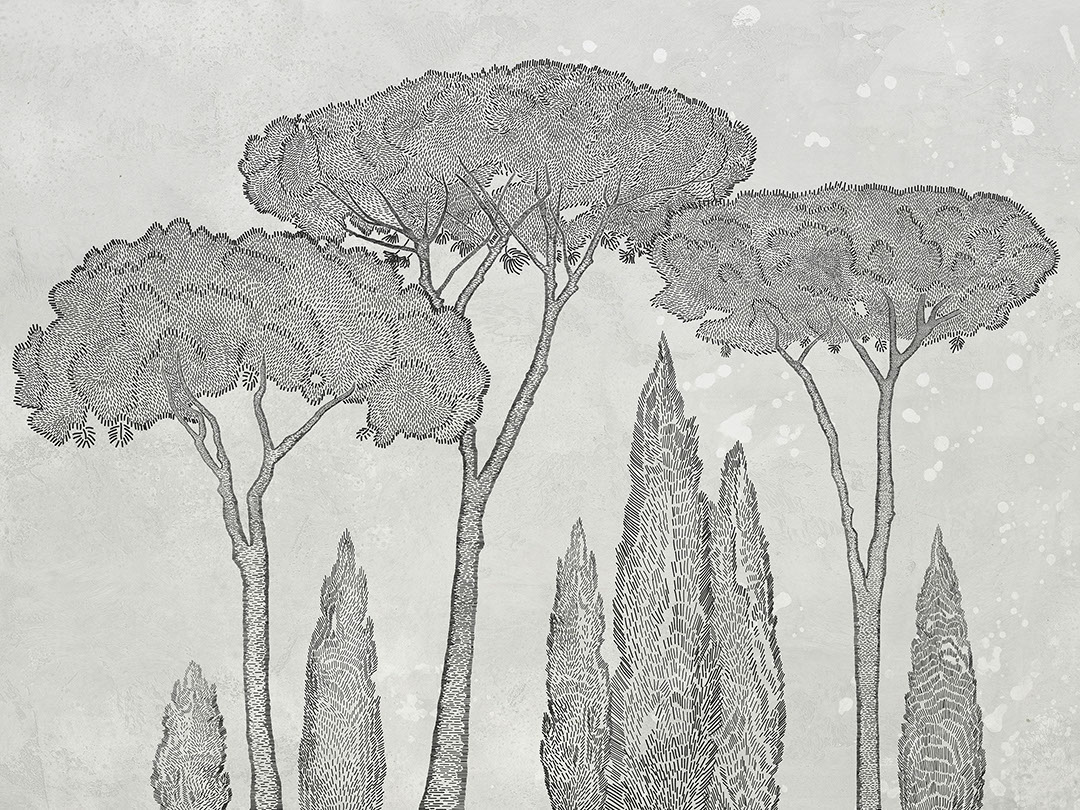 Italian cypress and stone pine trees on the light background wall mural