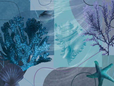 Geometric blue wall mural with oversized seashells and corals