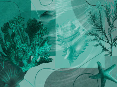 Geometric green wall mural with oversized seashells and corals