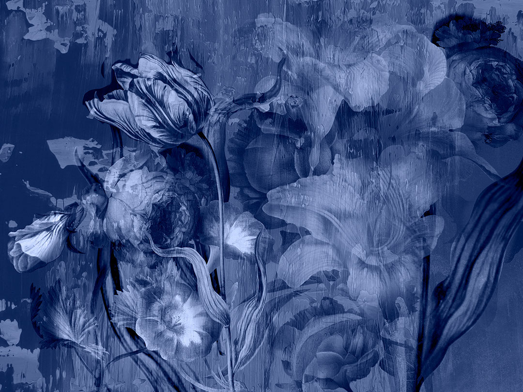 Moody floral blue wall mural with large roses and peonies