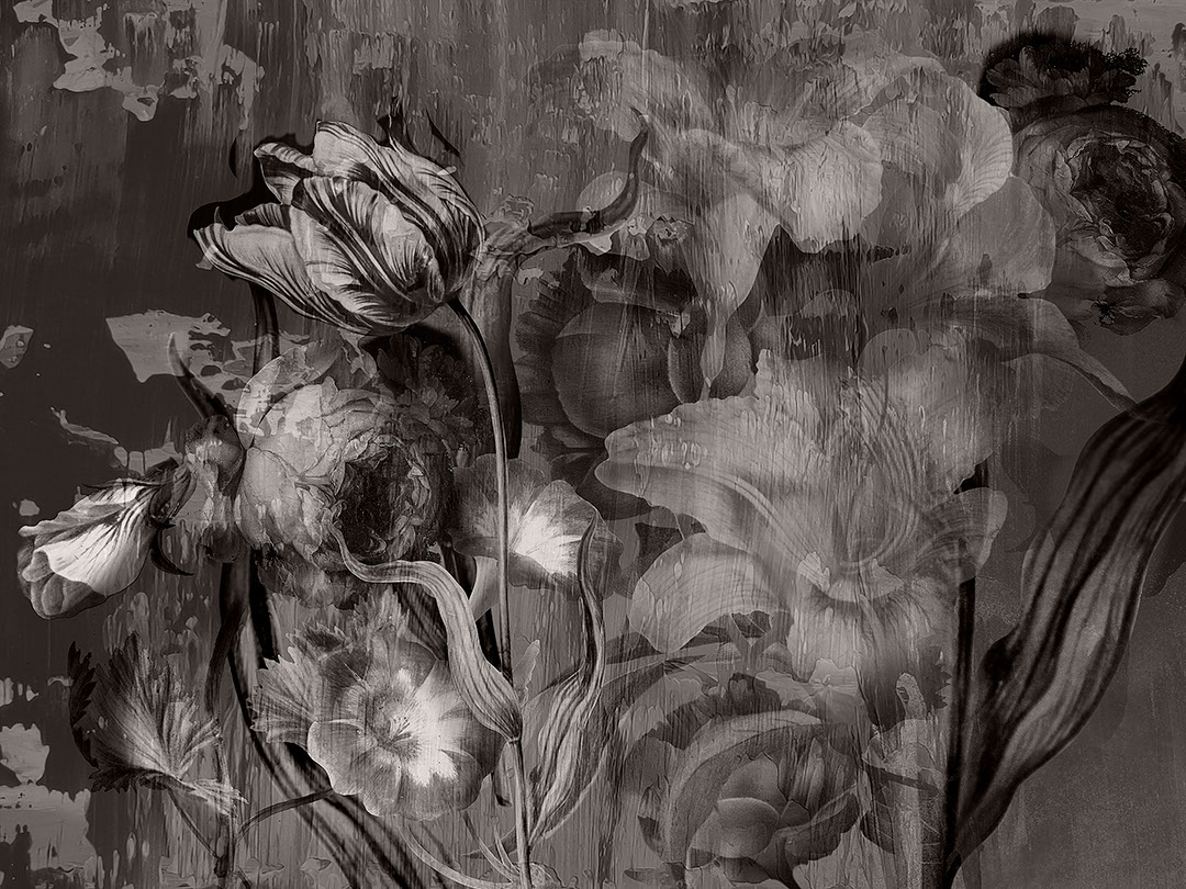 Moody floral black and white wall mural with large roses and peonies