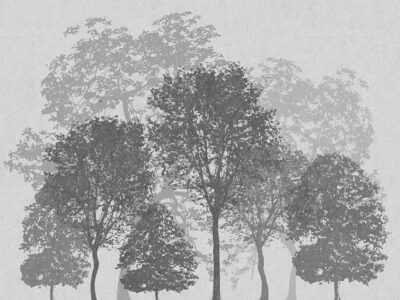 Minimalist dark forest etched illustration wall mural