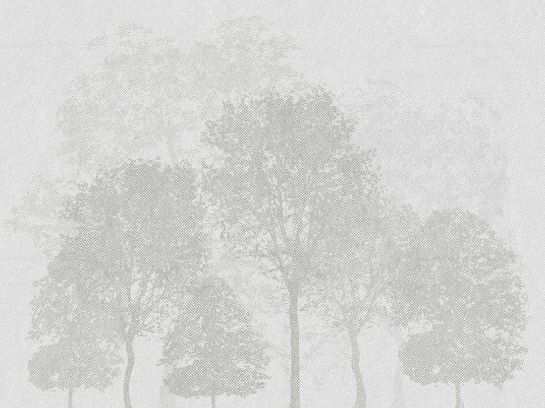 Minimalist grey forest etched illustration wall mural