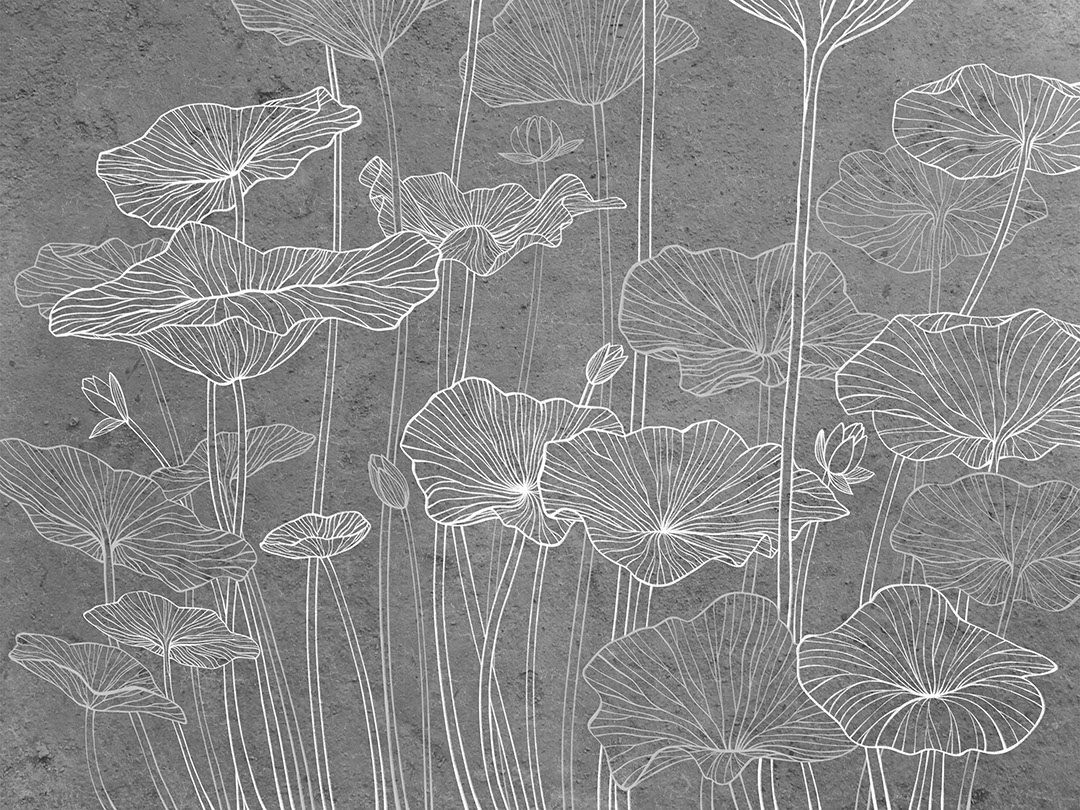 Minimalist water lilies line drawing grey wall mural