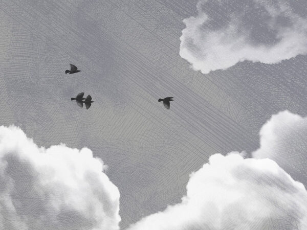 Textured clouds and dark birds on the grey sky wall mural