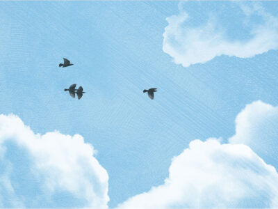 Textured clouds and dark birds on the blue sky wall mural