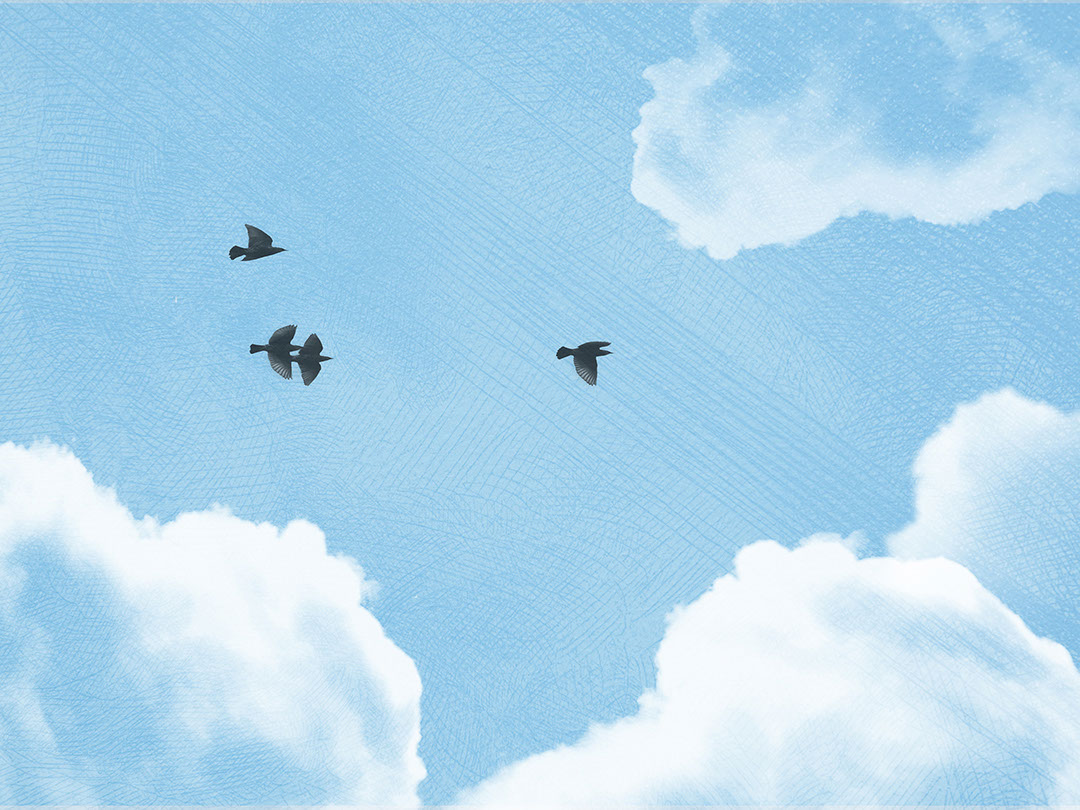 Textured clouds and dark birds on the blue sky wall mural