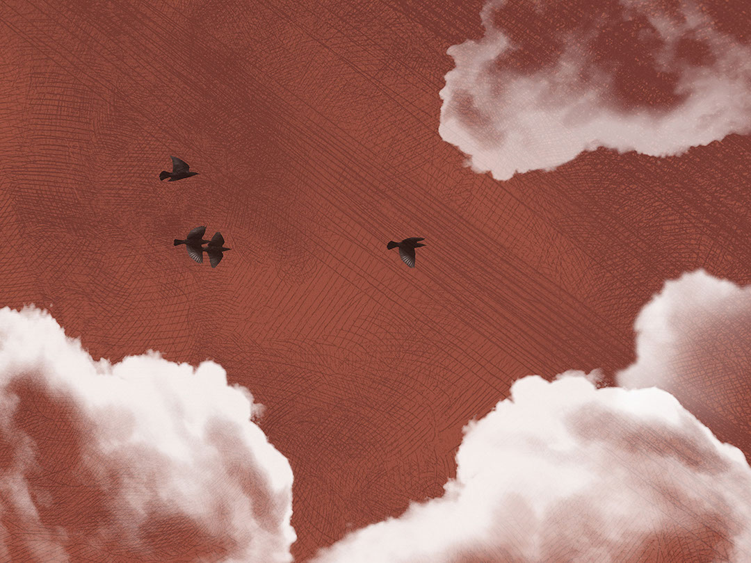 Textured clouds and dark birds on the red sky wall mural