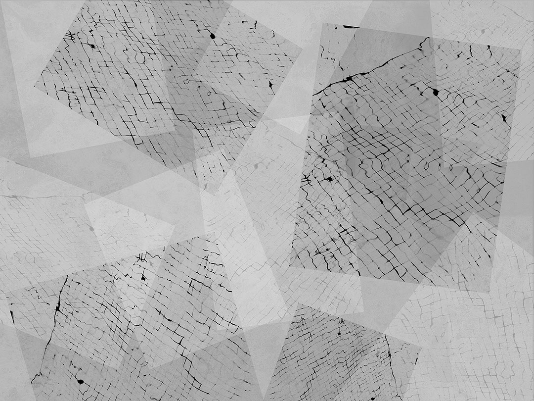 Abstract geometric grey wall mural with animalistic rectangles