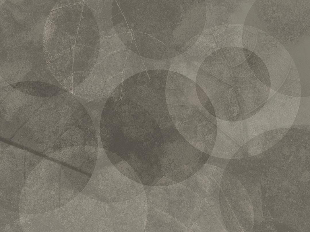 Abstract geometric dark wall mural with the texture of leaves