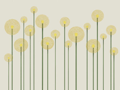 Illustrated minimalist yellow dandelions wall mural