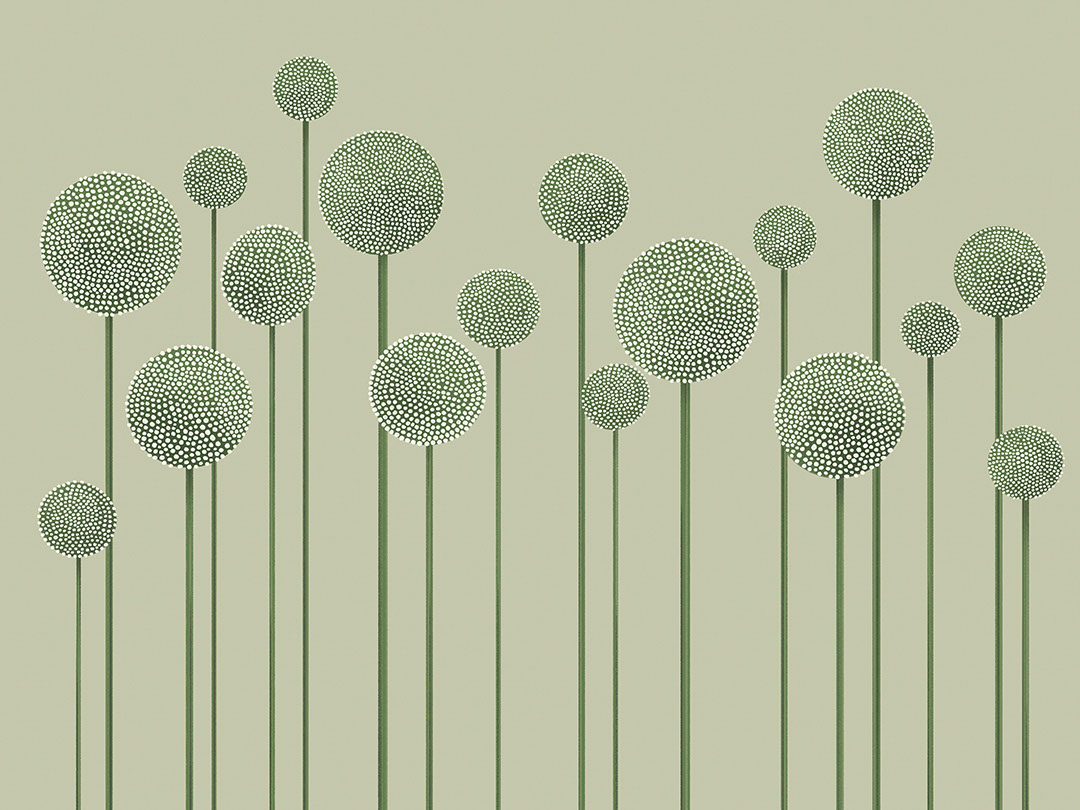 Illustrated minimalist green dandelions wall mural
