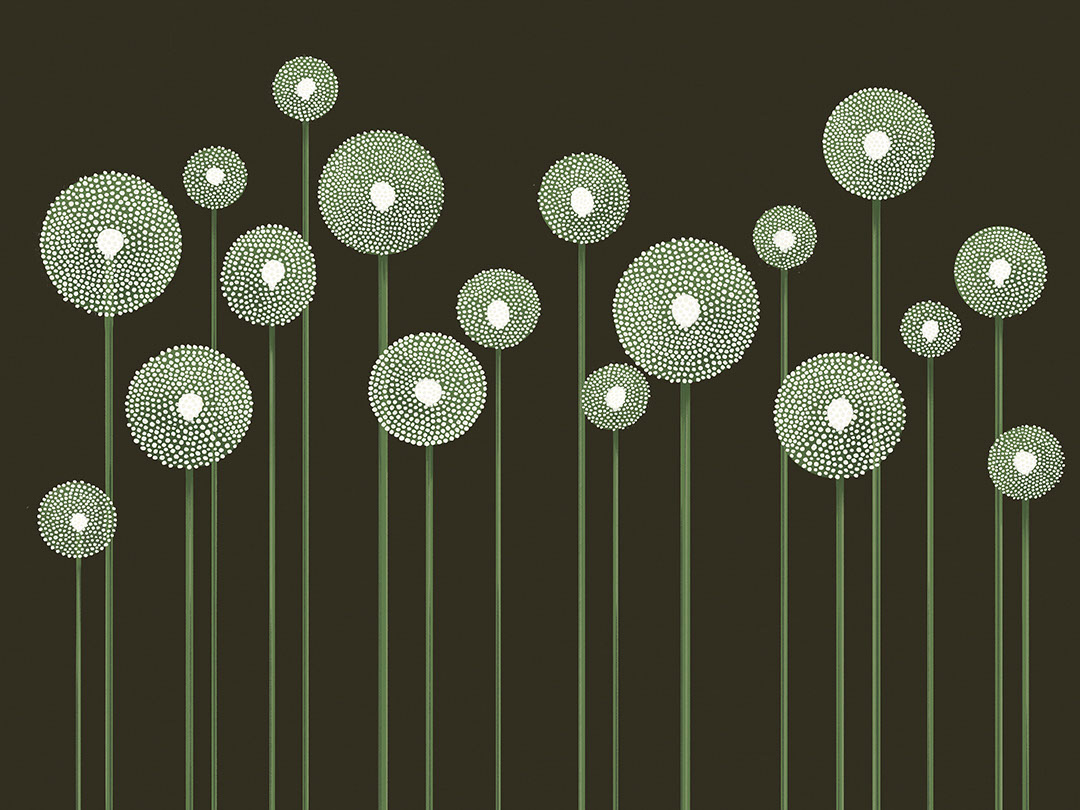 Illustrated minimalist green dandelions on the dark background wall mural