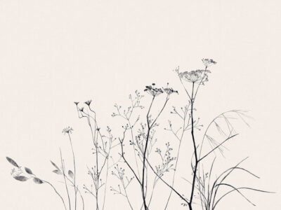 Delicate black botanicals on a pastel background wall mural