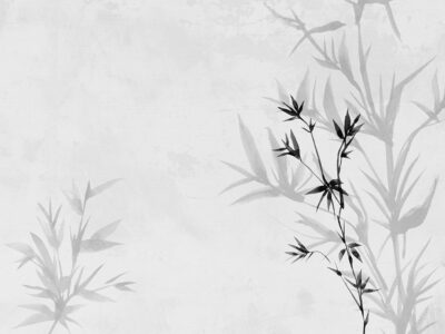 Neutral asymmetrical florals wall mural with shadows in Japandi style
