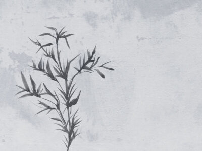 Neutral asymmetrical florals wall mural in Japandi style