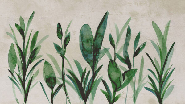 Green watercolour botanicals wall mural