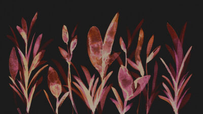 Dark watercolour botanicals wall mural