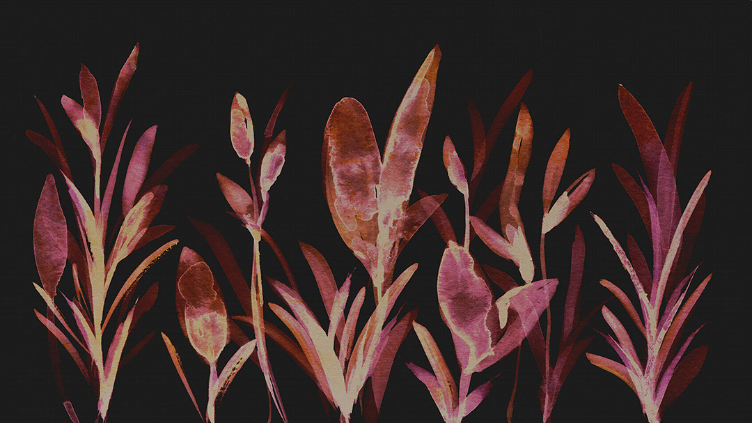 Dark watercolour botanicals wall mural