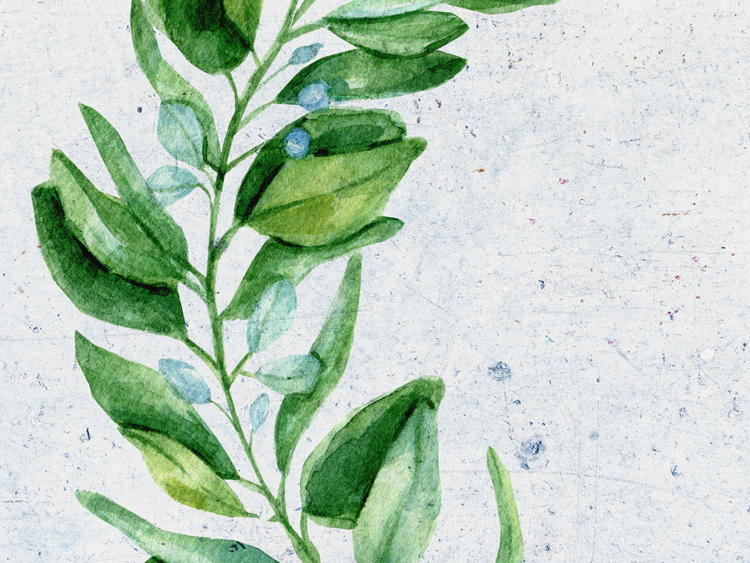 Oversized watercolour flower branch wall mural