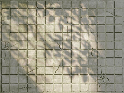 Grey stone tiles with leaf shadows wall mural