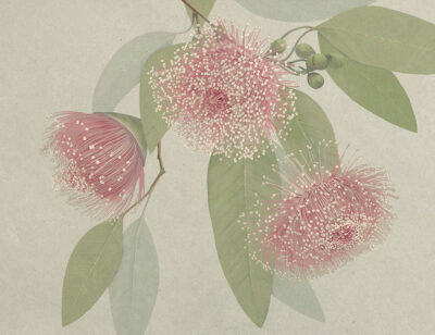 Maximalistic pink flowers with delicate leaves wall mural