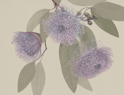 Maximalistic purple flowers with delicate leaves wall mural
