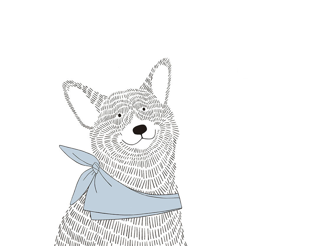Minimalist graphic-styled wall mural with a Corgi dog in indigo shawl