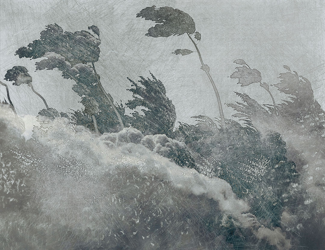 Grey vintage etching wall mural with forest trees