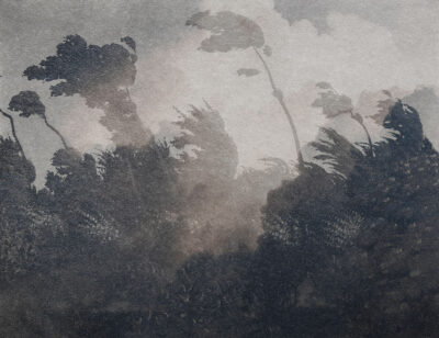 Vintage grey etching forest with clouds wall mural