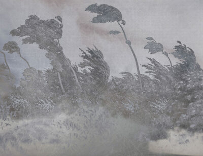 Vintage grey etching textured forest wall mural