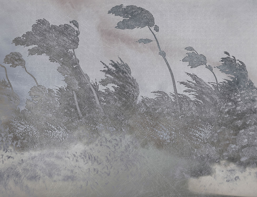 Vintage grey etching textured forest wall mural