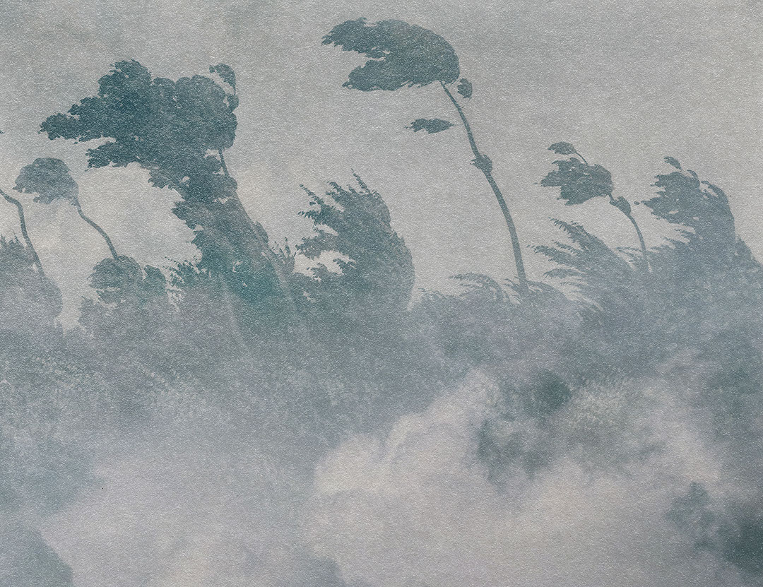 Vintage grey etching forest in fog wall mural