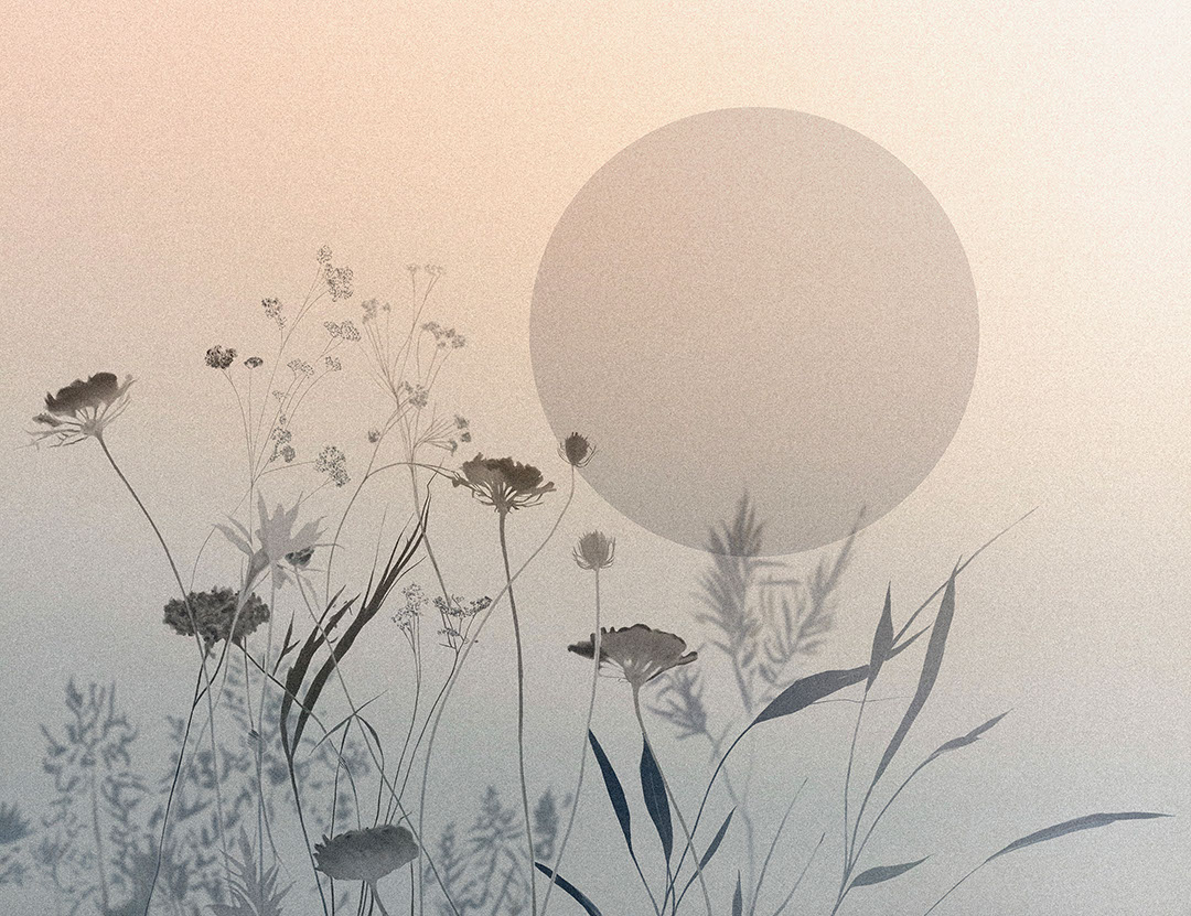 Tender flowers on the gradient background wall mural